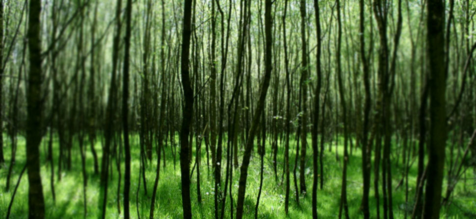 layer